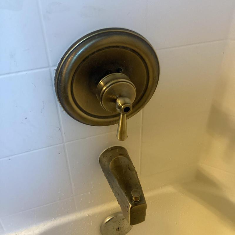 Moen Posi Temp shower cartridge and valve assembly Moen Posi Temp shower cartridge and valve assembly