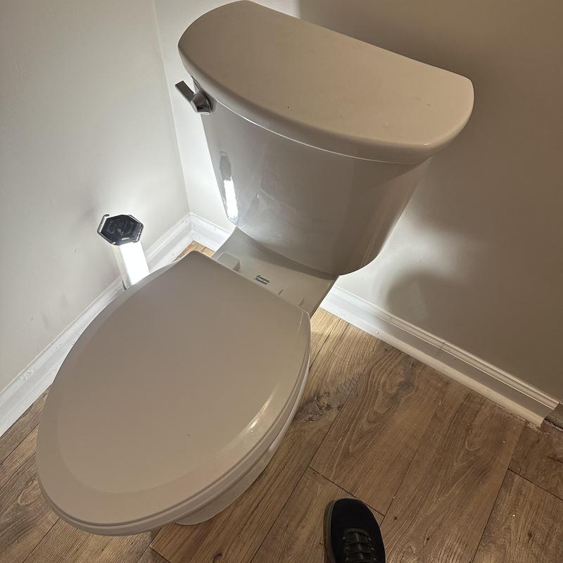 Toilet installation in corner with wood flooring