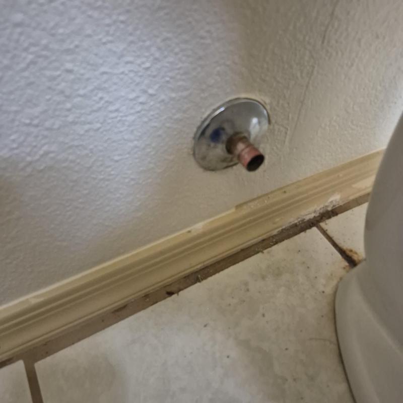 Toilet water supply pipe with flange and wall plate
