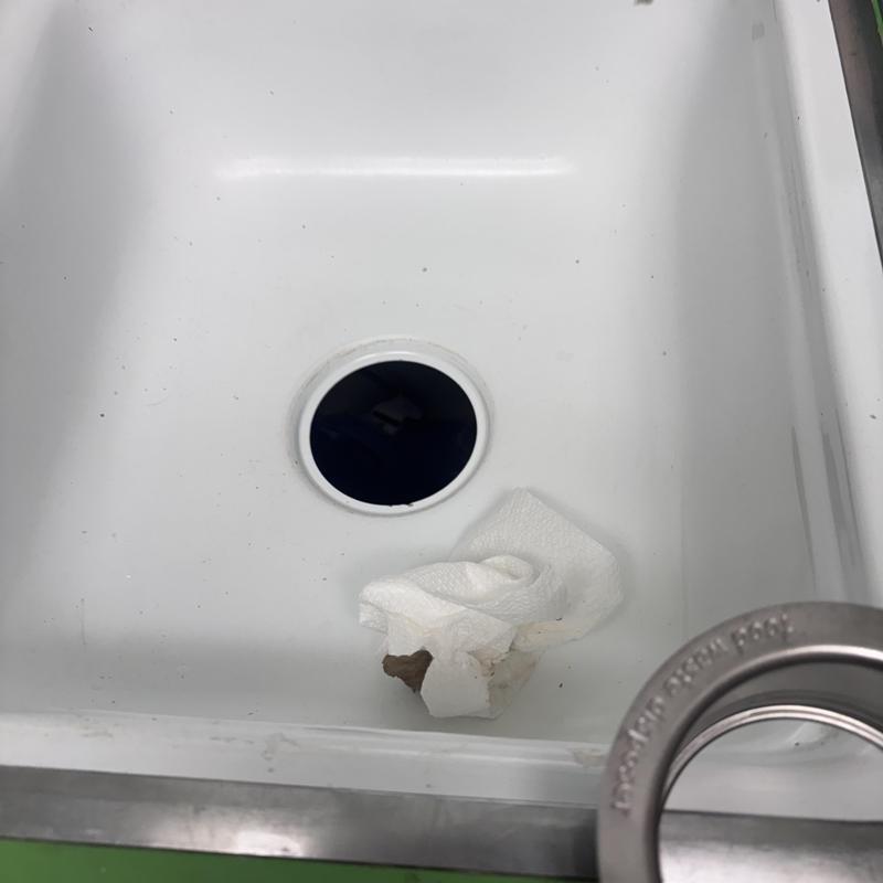 Garbage disposal sink drain with tissue debris