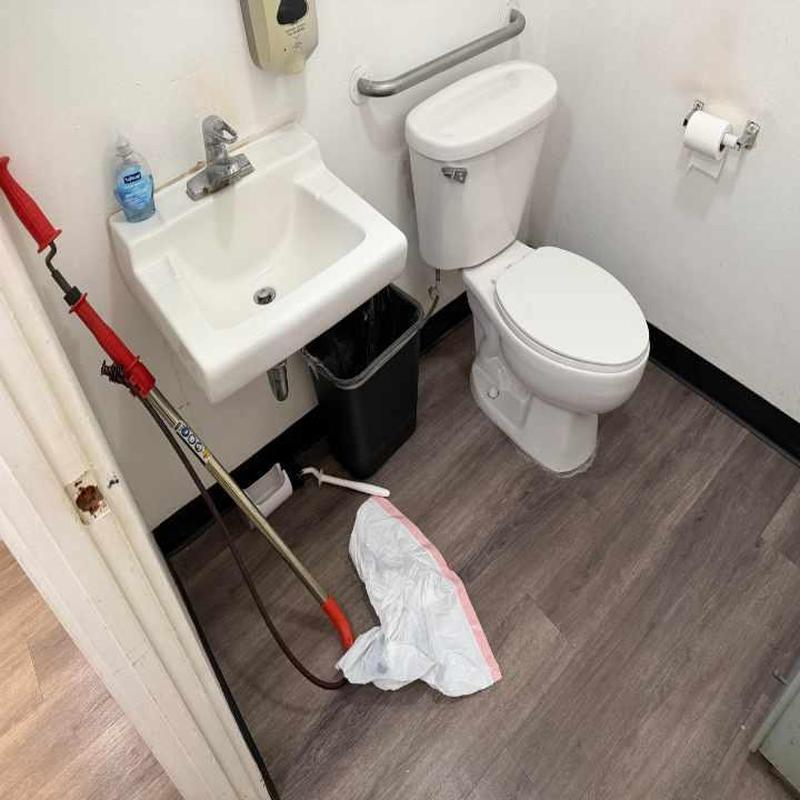 Toilet trap with snake auger in office restroom