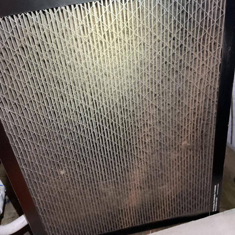 Air filter clogged with dust and debris buildup Air filter clogged with dust and debris buildup