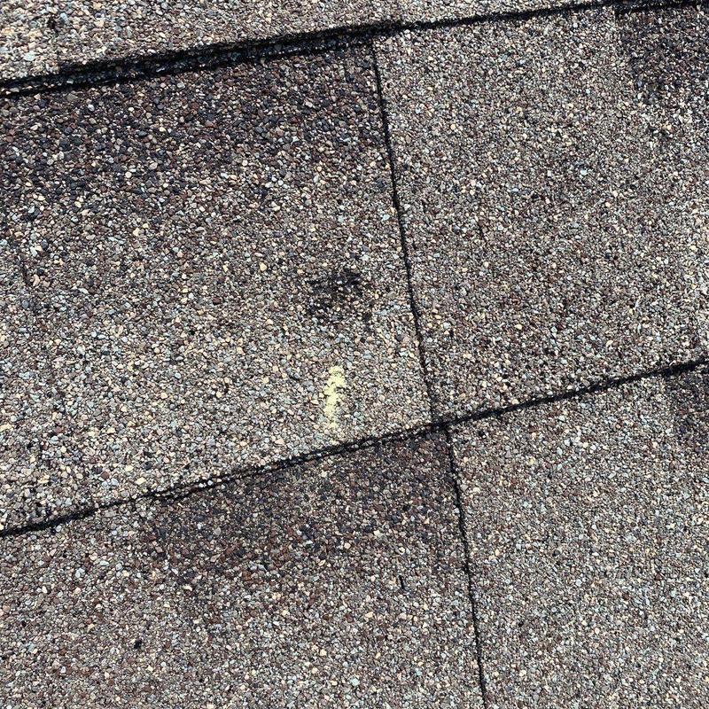 GAF Timberline HDZ shingle close-up with hail damage mark