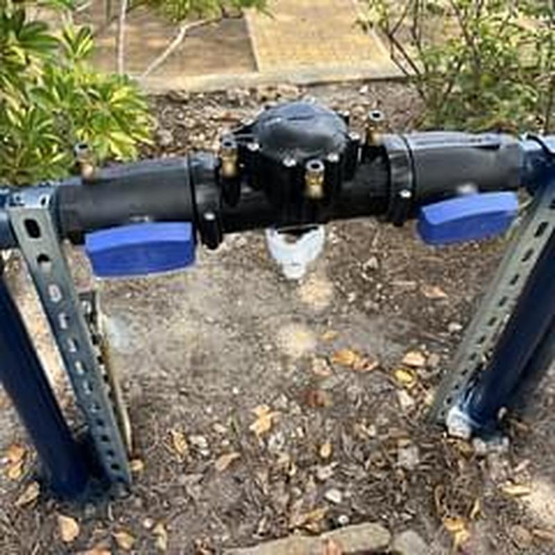 Backflow preventer assembly with testing plugs outdoors