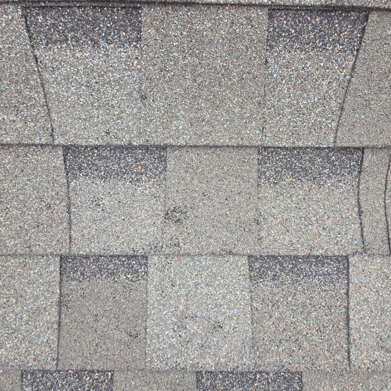 Architectural shingle roof with hail damage close-up