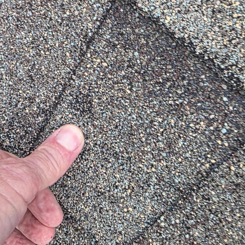 Asphalt roof shingle showing hail damage granule loss