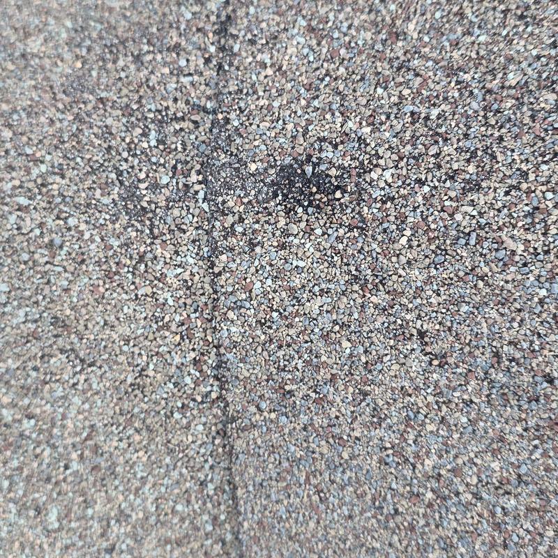 Roof shingle hail damage close-up with granule loss