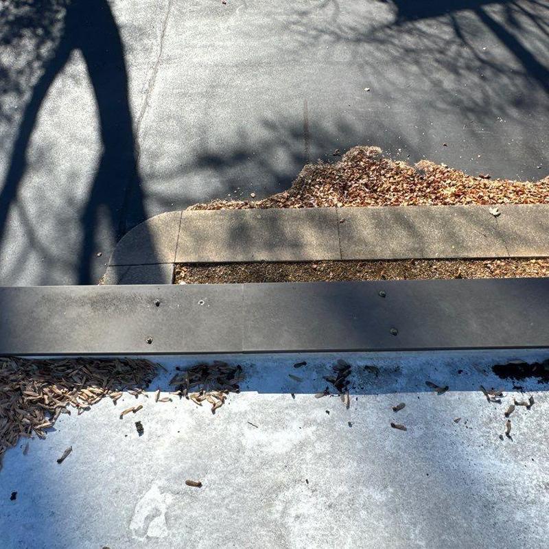 Roof drainage system with debris and leaves buildup