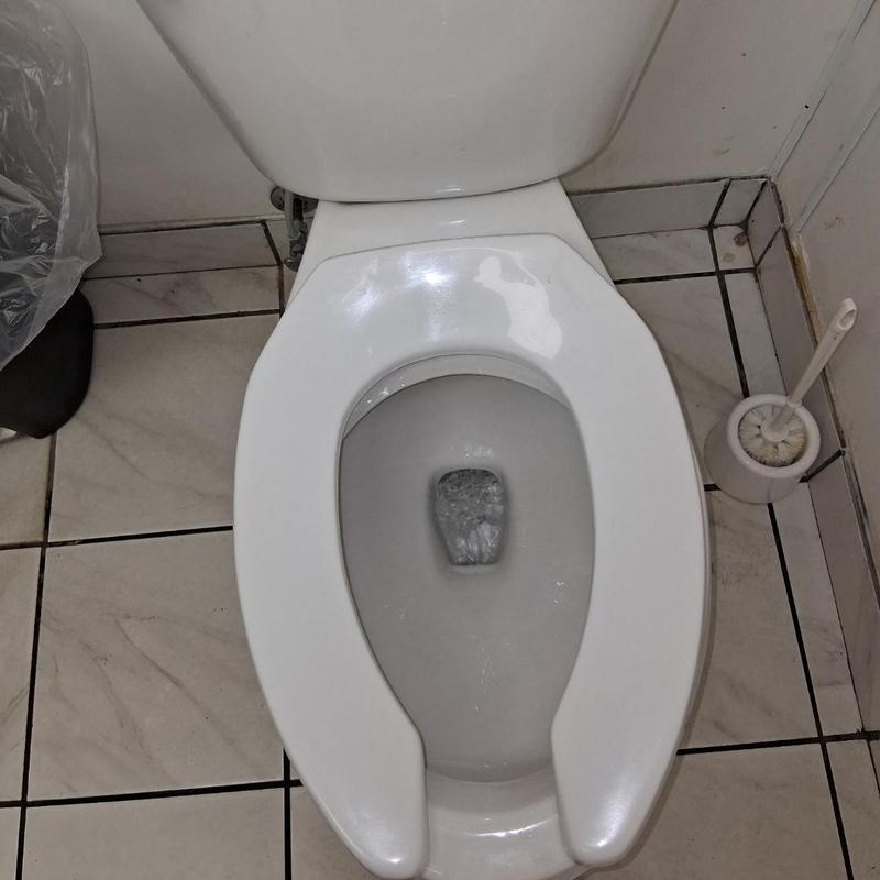 Toilet bowl and main drain clog clearing service