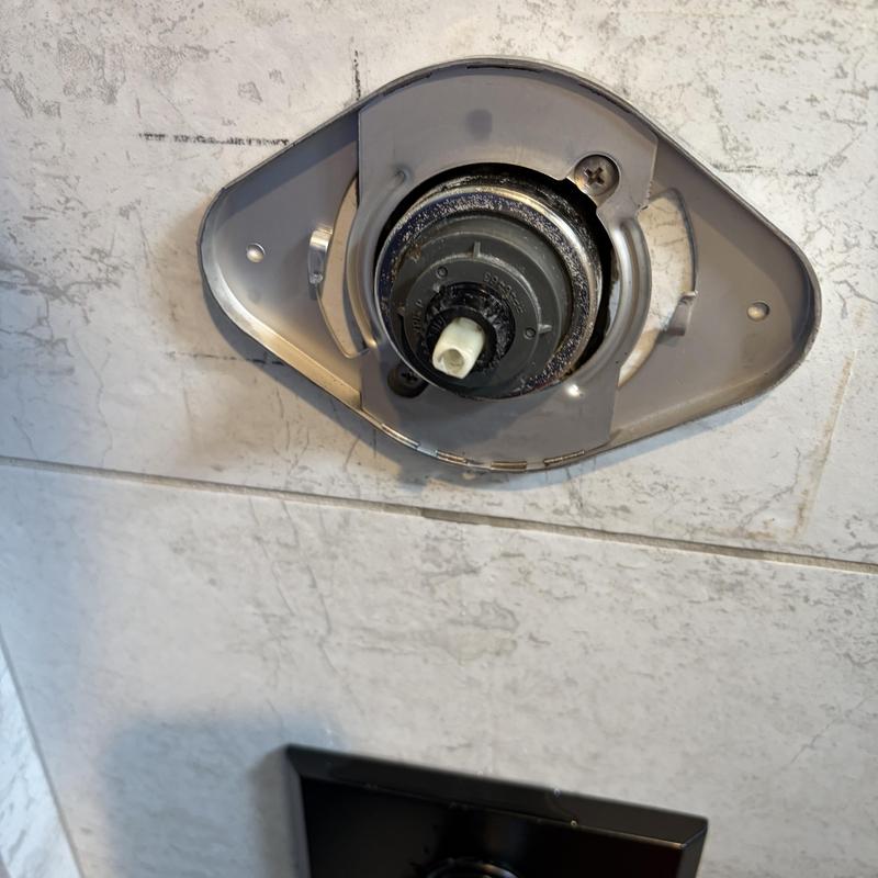 Delta MultiChoice shower valve cartridge and trim assembly Delta MultiChoice shower valve cartridge and trim assembly
