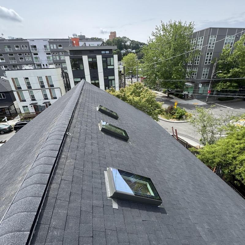 Premium shingle roof with skylights in urban setting