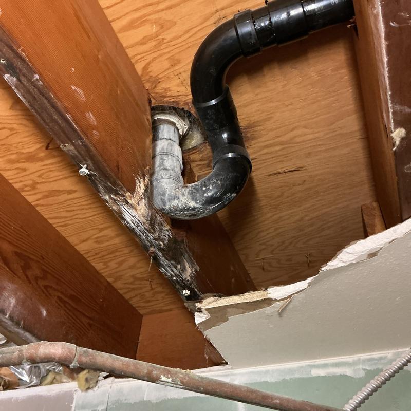 Shower drain pipe with water damage on ceiling joist