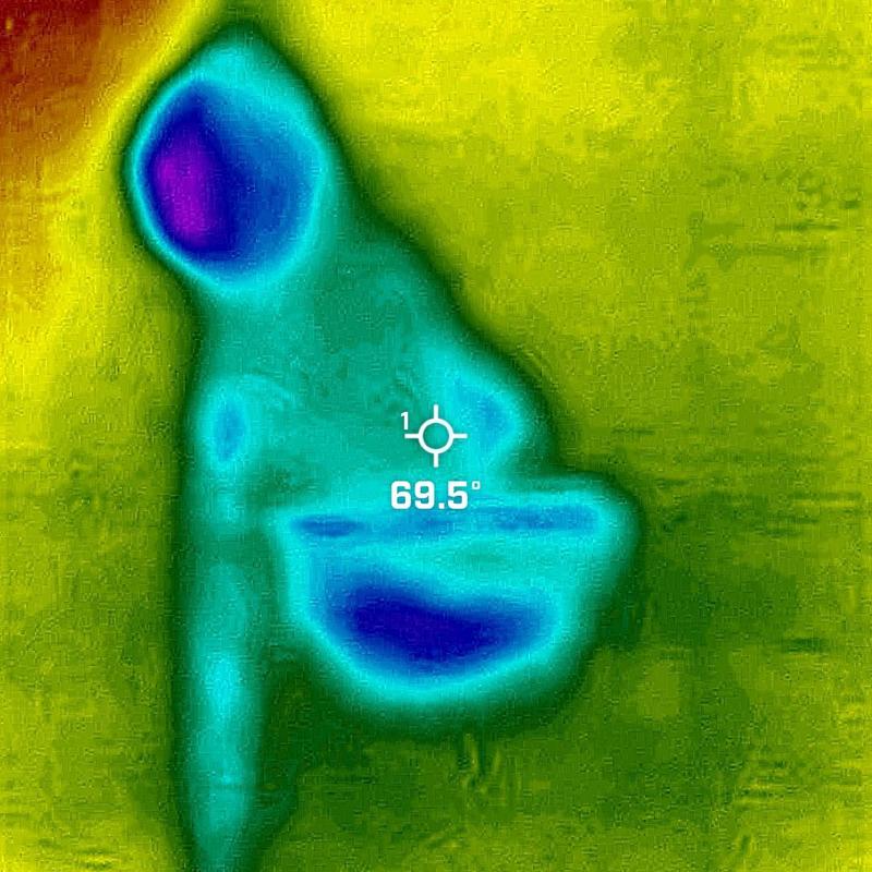 Shower flange thermal image showing temperature 69.5°F Shower flange thermal image showing temperature 69.5°F