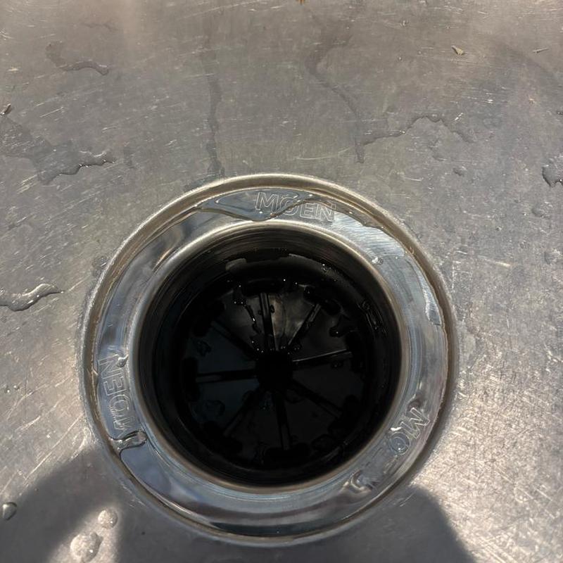 Garbage disposal sink drain with Moen flange installed Garbage disposal sink drain with Moen flange installed