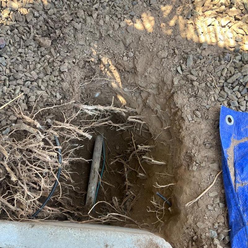 1-inch pressure regulator valve trench with exposed roots 1-inch pressure regulator valve trench with exposed roots
