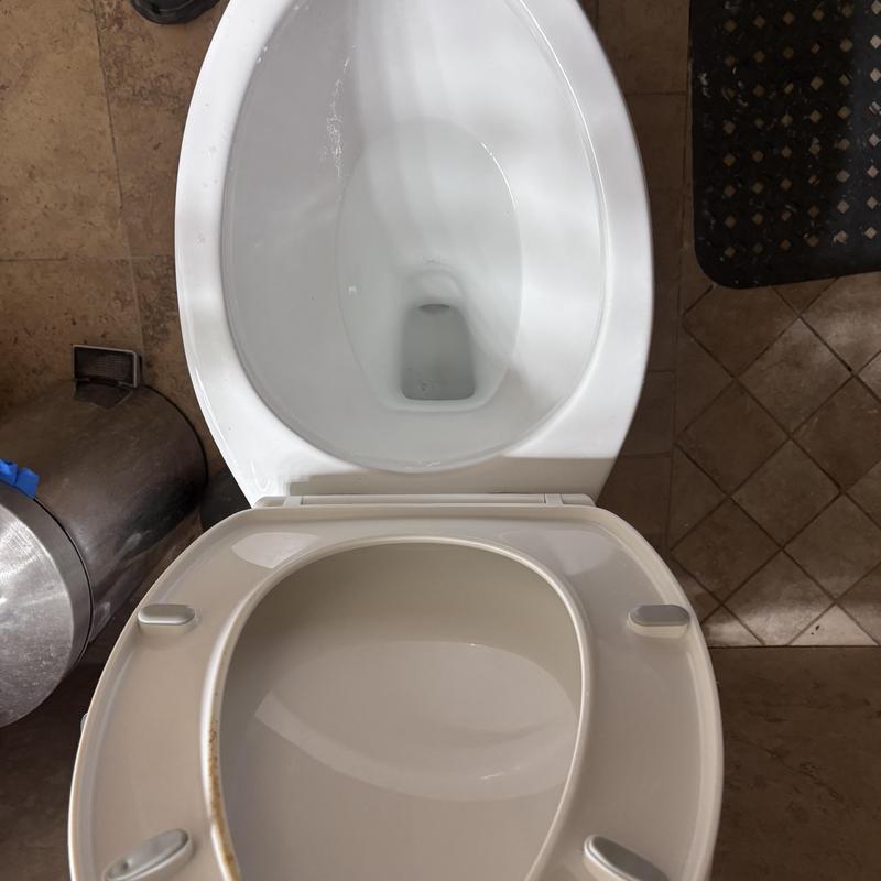 Toilet bowl with open lid and seat in bathroom
