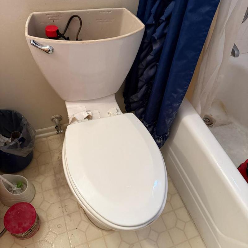 Toilet tank and bowl with open lid in bathroom Toilet tank and bowl with open lid in bathroom