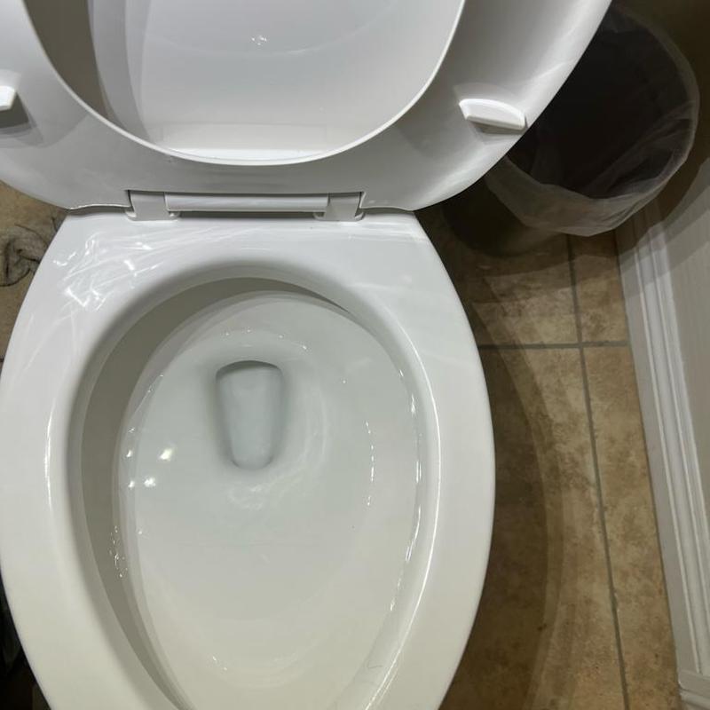 Toilet bowl and seat in master bathroom, Queen Creek AZ Toilet bowl and seat in master bathroom, Queen Creek AZ