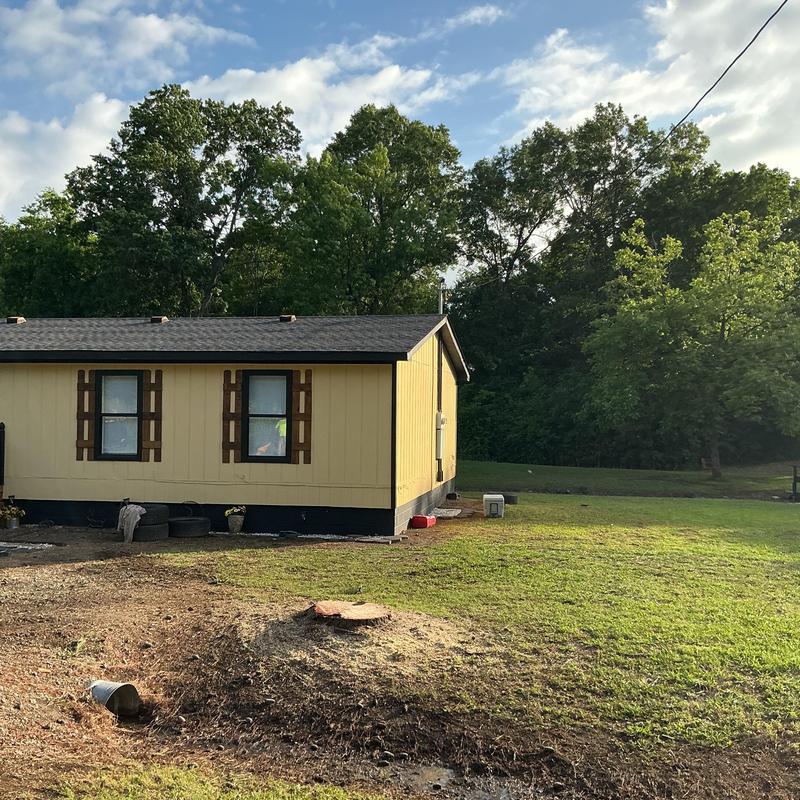 Tree stump removal near yellow house and lawn Tree stump removal near yellow house and lawn