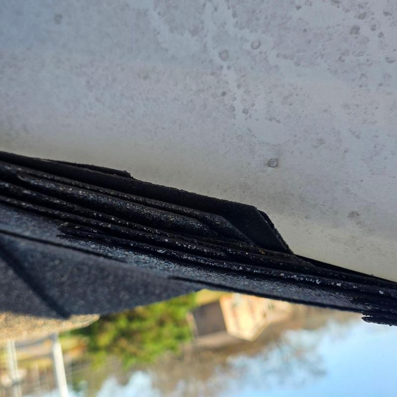 Roof shingles with hail damage and lifted edges