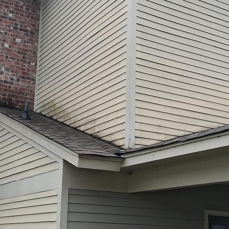 Roof flashing and siding trim with algae buildup