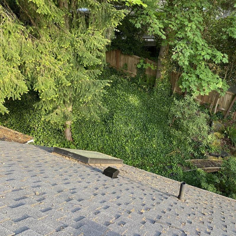 Ridge vent and flapper vent on residential roof