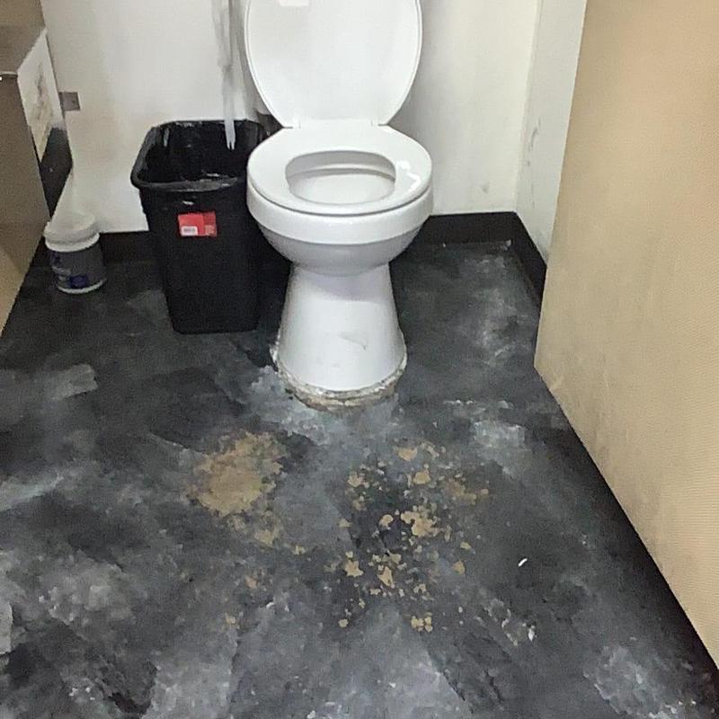 Toilet pulled with floor drain blockage cleared