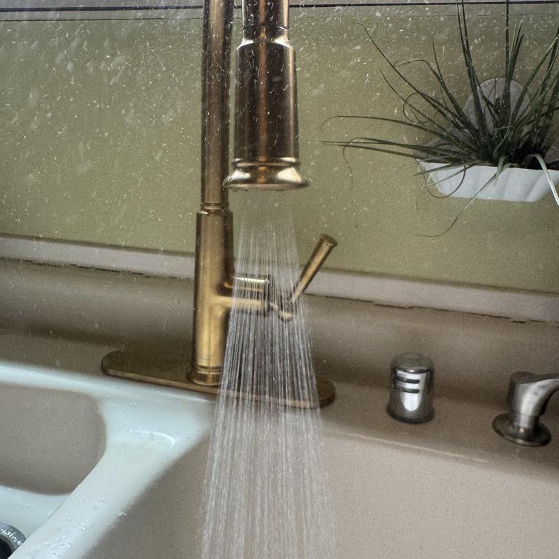 Kitchen sink faucet spray function testing