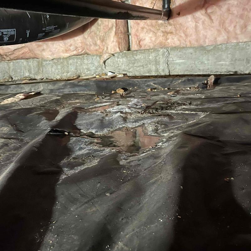 Kitchen drain pipe leak on damaged crawl space floor plastic Kitchen drain pipe leak on damaged crawl space floor plastic