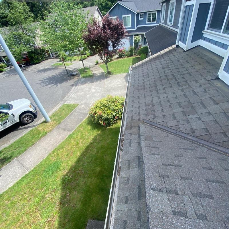 Gutter system and roof surface after cleaning in Snohomish