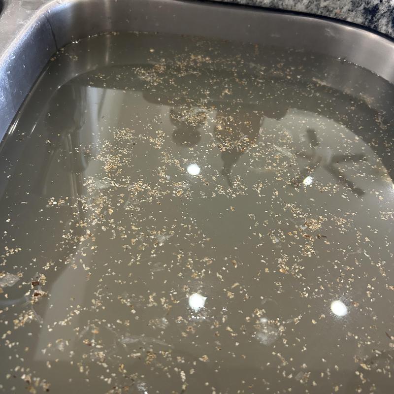 Kitchen sink water with potato peel debris Kitchen sink water with potato peel debris