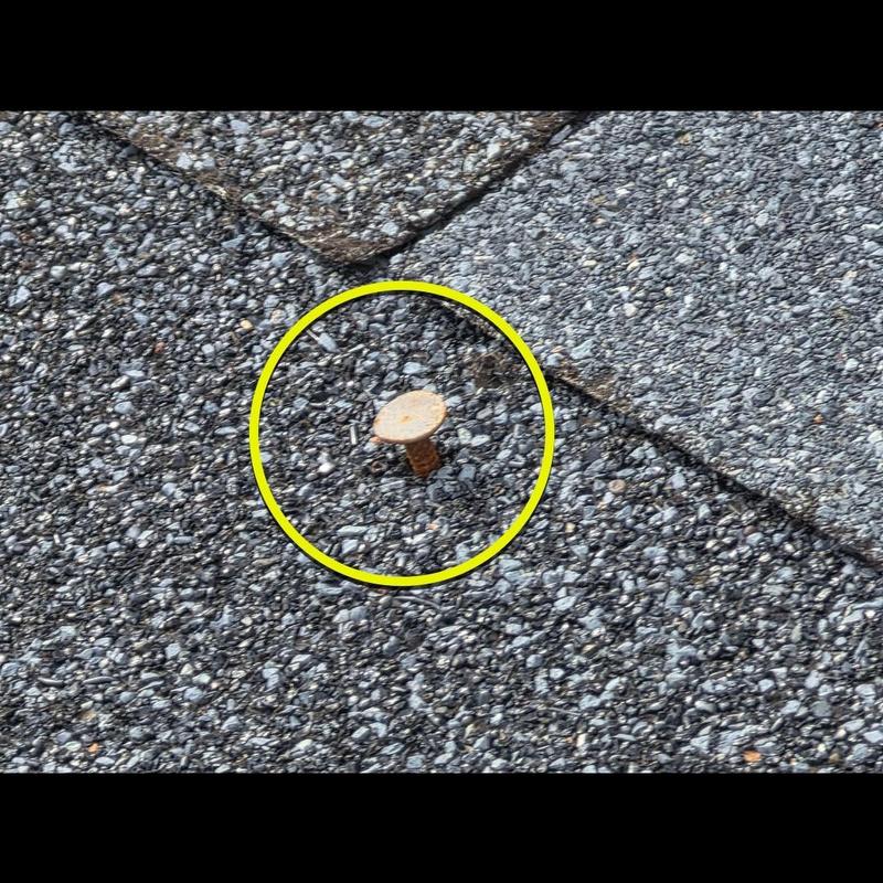 Roof shingle with protruding rusty nail pop highlighted