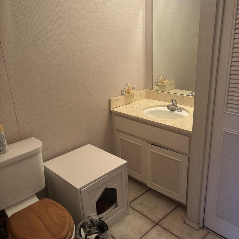 Bathroom sink and vanity with plumbing access panel