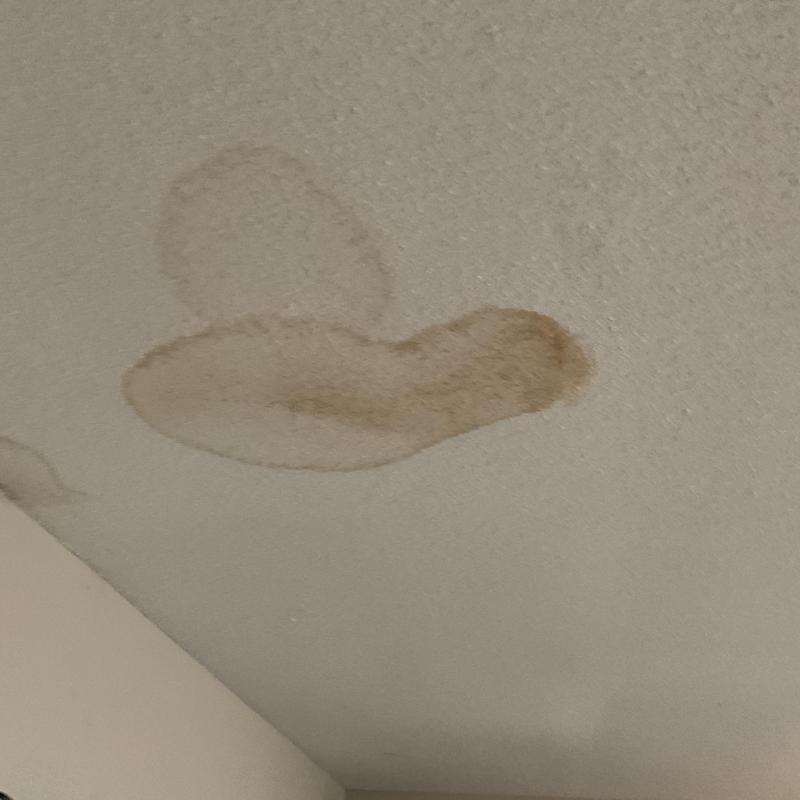 Drain pan water damage on ceiling in garage Drain pan water damage on ceiling in garage