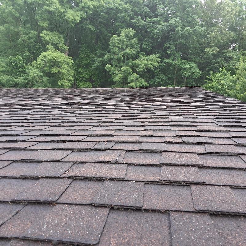 Asphalt shingle roof with lifted, damaged shingles Asphalt shingle roof with lifted, damaged shingles
