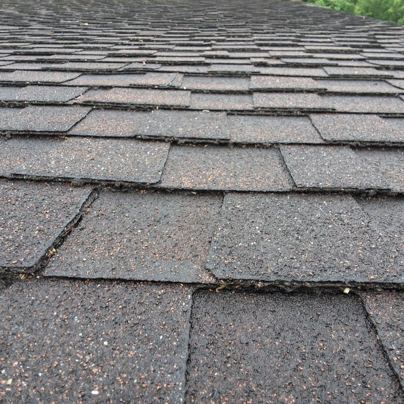 Asphalt shingle roof with lifted, damaged tabs Asphalt shingle roof with lifted, damaged tabs