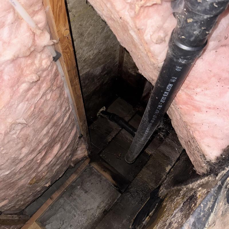 Drain line in crawl space with water damage and spiders