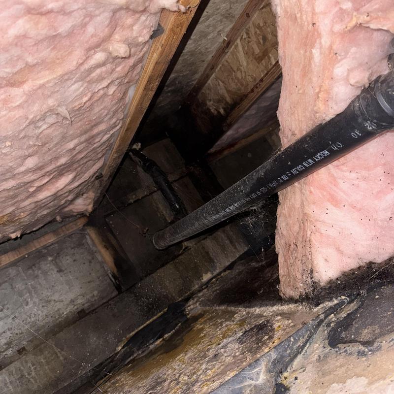 Drain line in crawl space with water damage and spiders