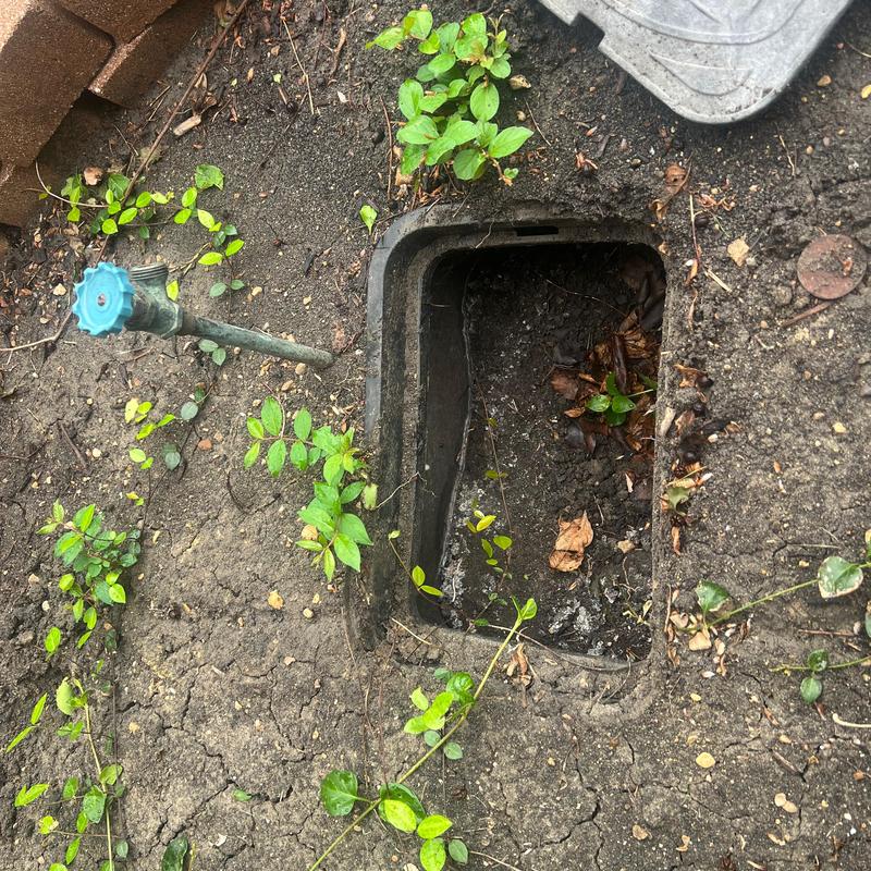 Hose spigot and valve box in soil with plants