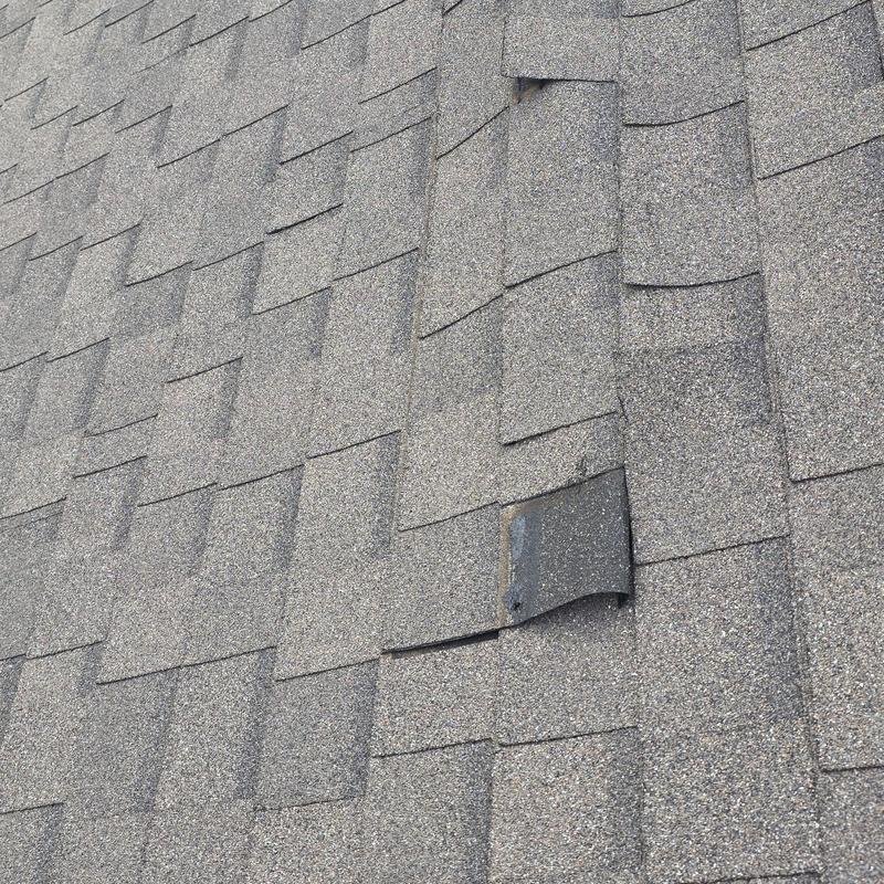 Asphalt roof shingle damaged by hail in Terrell, TX