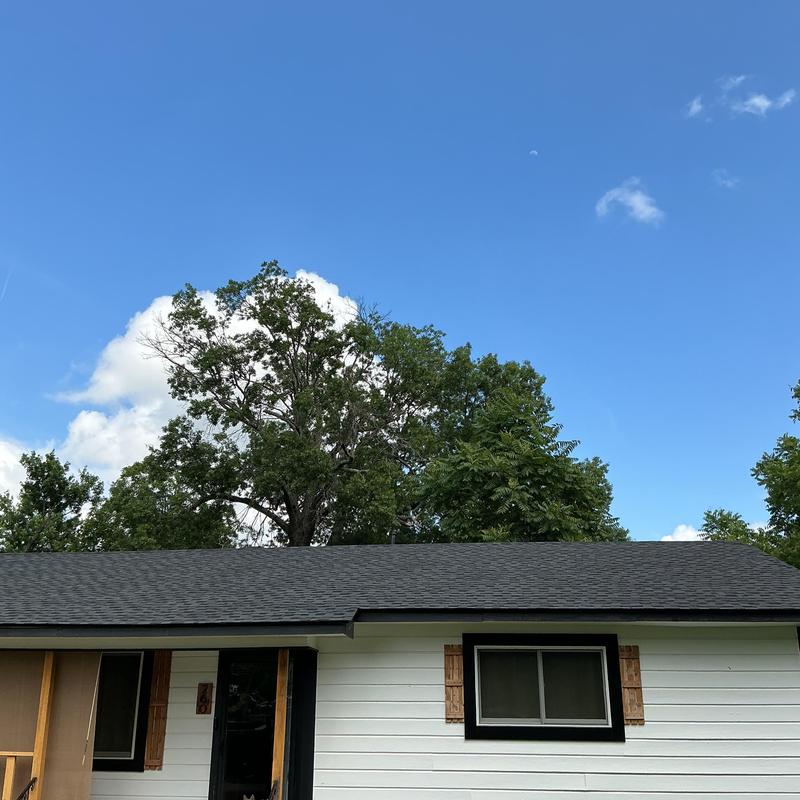 Oak tree with large overhanging limbs above house roof Oak tree with large overhanging limbs above house roof
