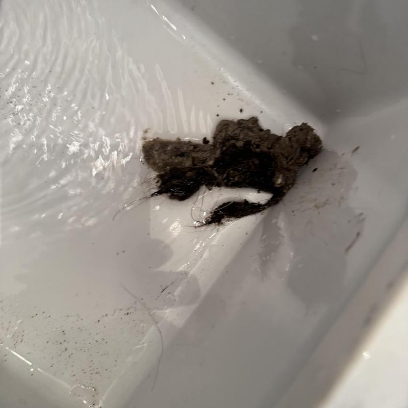 Basin drain clog cleared with hair buildup removed