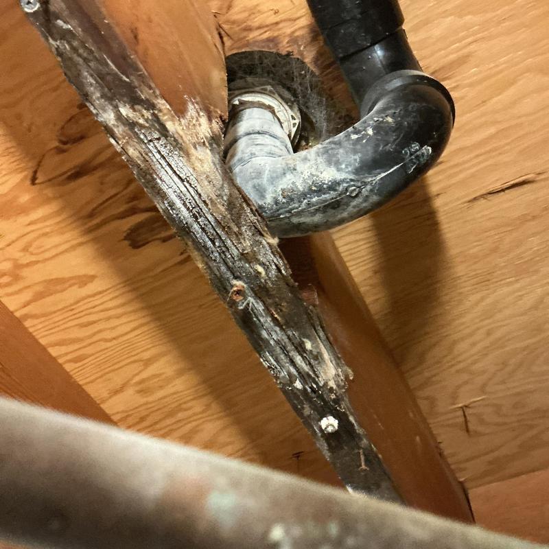 Shower drain pipe with water-damaged wood above ceiling