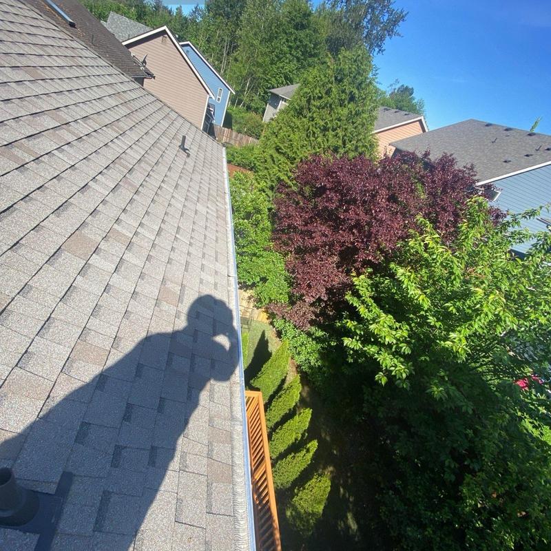 Roof shingles and gutter cleaning with clear downspouts