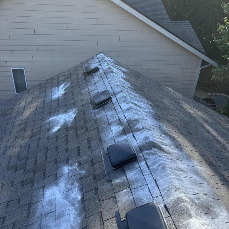 Roof shingles with moss treatment and cleaning residue