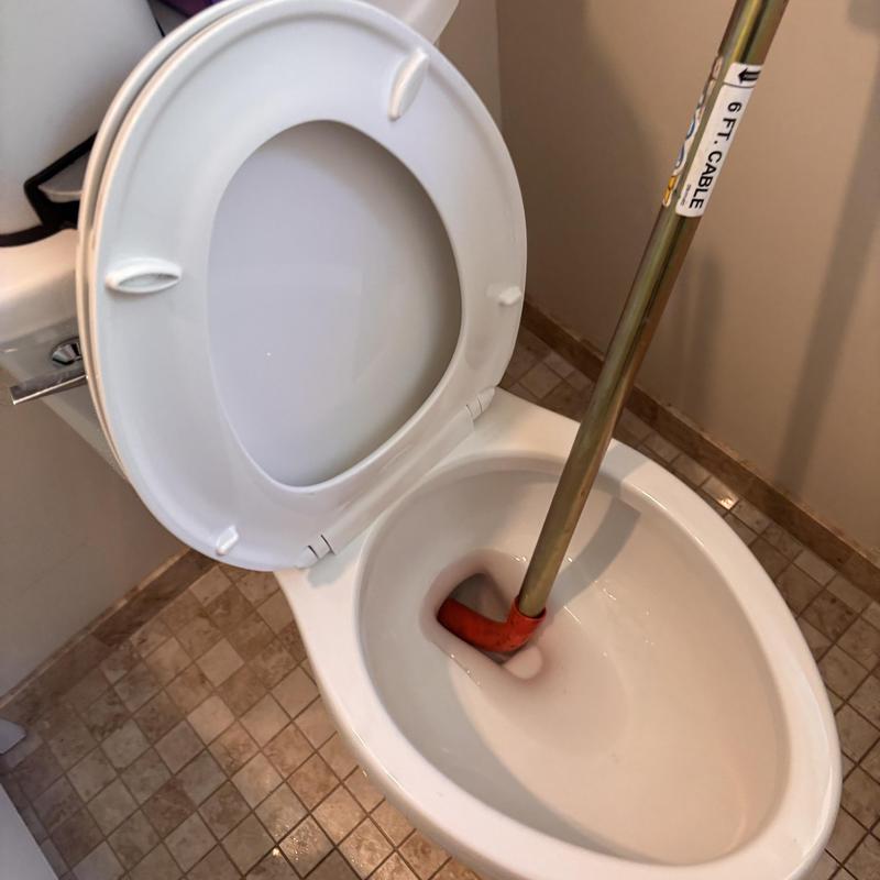 Toilet bowl auger inserted for clog removal