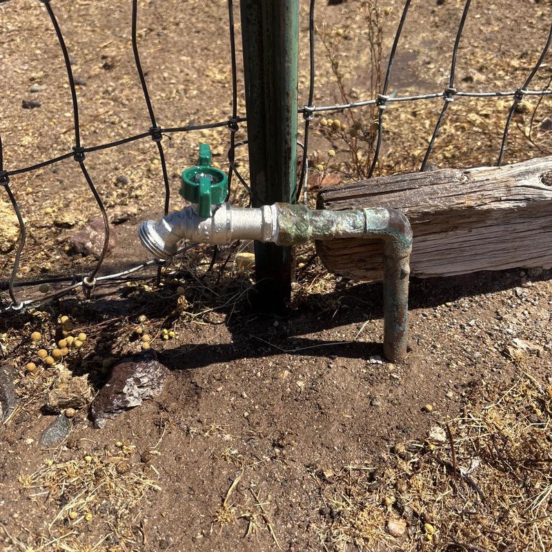 Outdoor hose bib with green handle and metal pipe