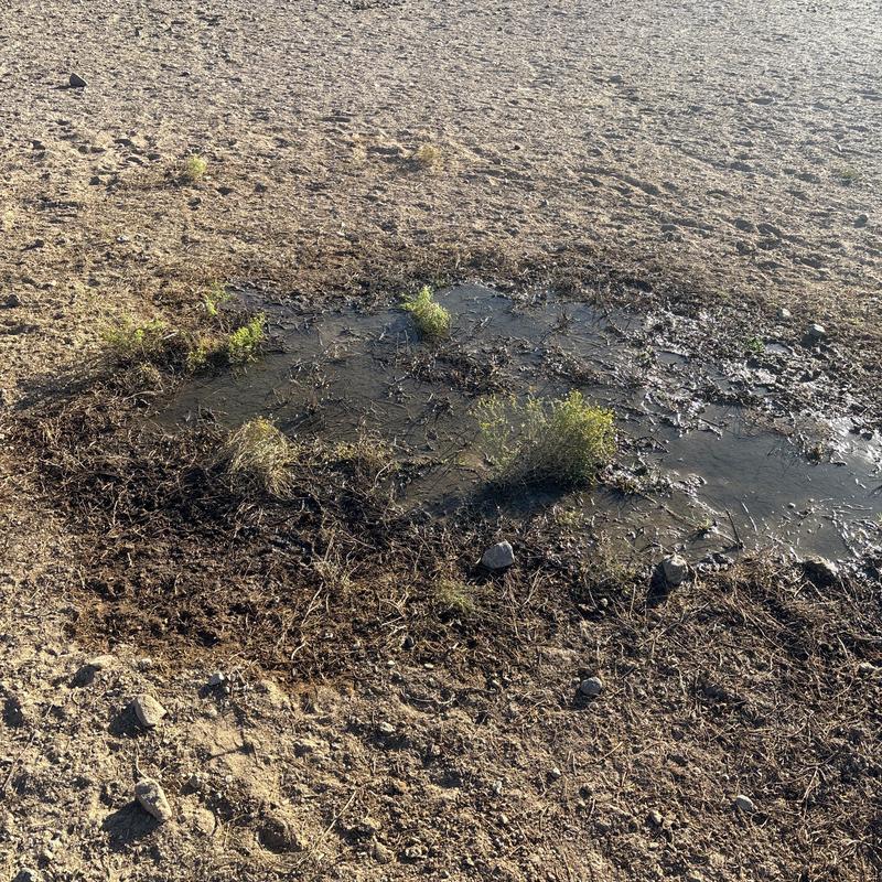 Outdoor hose bib water leak causing ground saturation