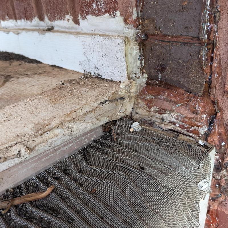 Window frame leak with sealant and mesh screen Window frame leak with sealant and mesh screen