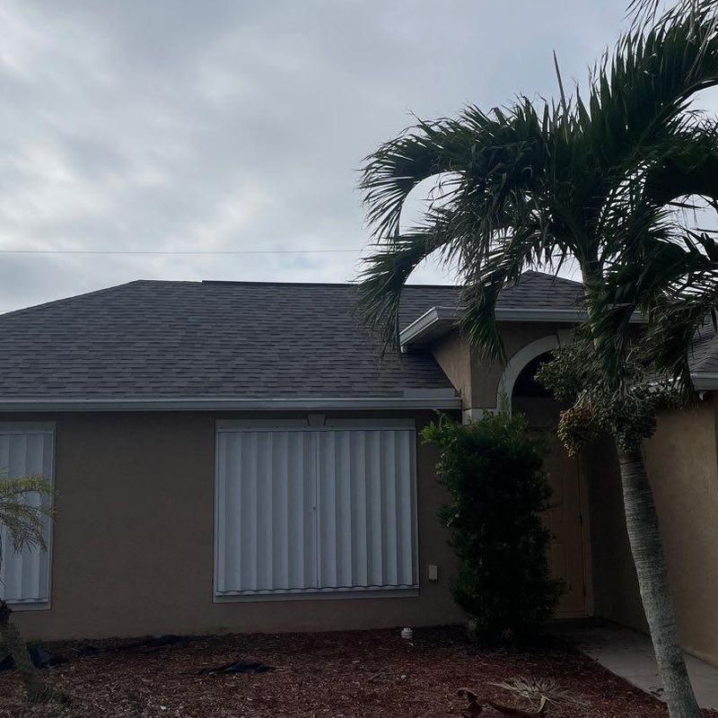 Owens Corning Duration shingle roof with palm tree Owens Corning Duration shingle roof with palm tree